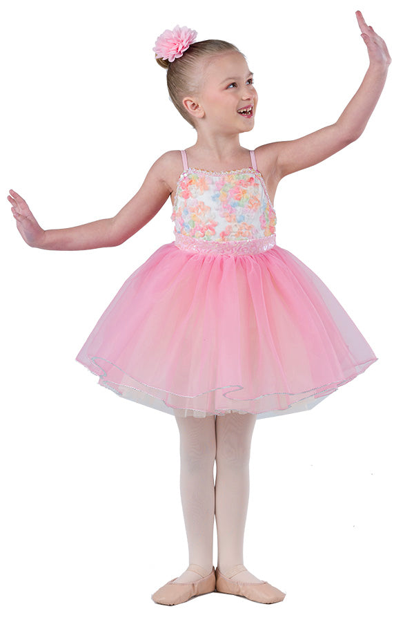 L2804 - Teddy Bear Picnic - Costume Only